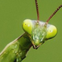 Verification image 3